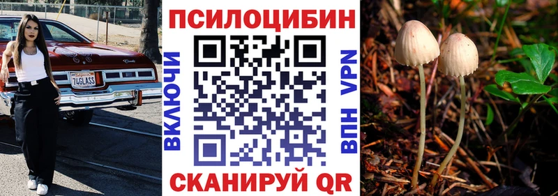 Псилоцибиновые грибы Psilocybe  дарнет шоп  Кропоткин 